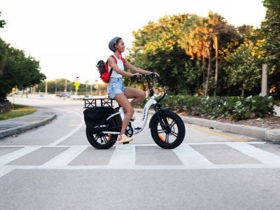 How to Ride an Ebike with Your Dog