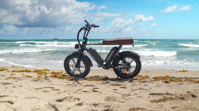 Double Battery VS Single Battery Electric Bike: More Power and Extended Range