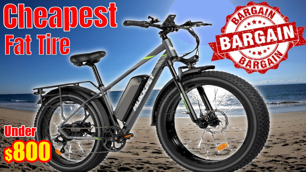 Under $800——The Best Budget Ebike You Won't Miss It!