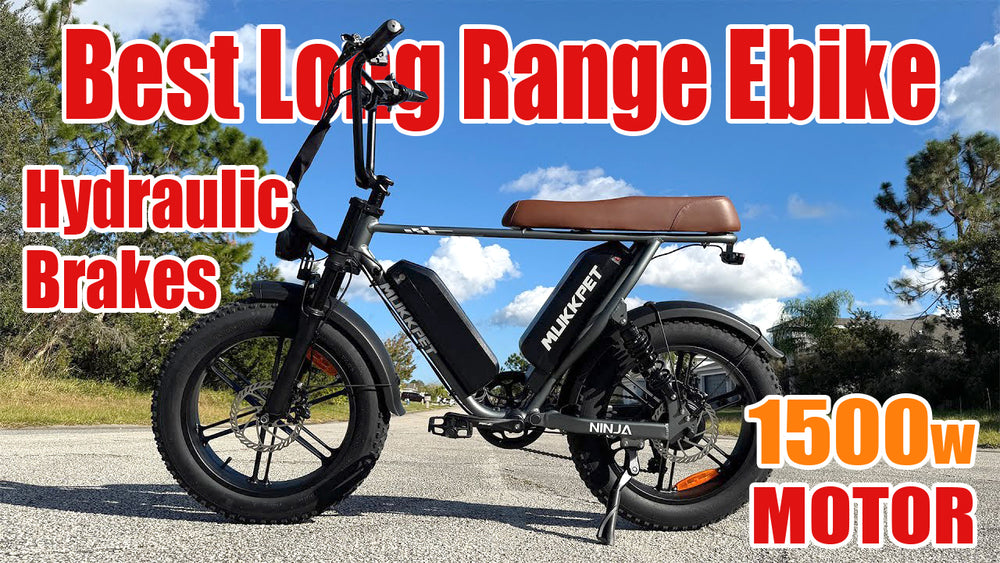 BEST Dual Battery Ebike Under $1000!