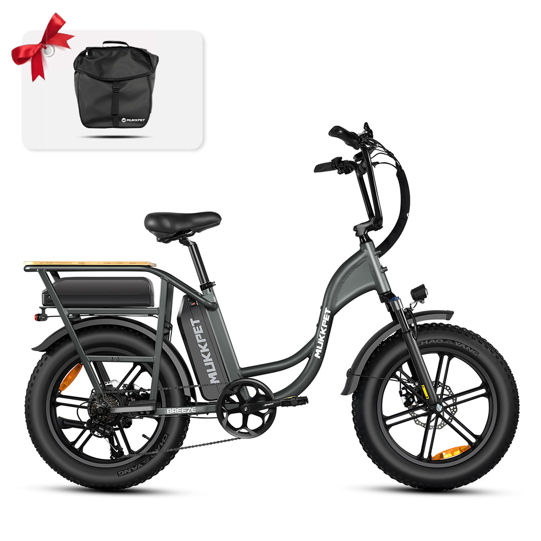 Breeze fat tire electric bike online