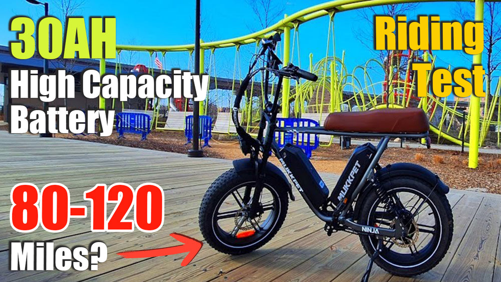 2025 New Moped Electric Bike