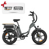 Mukkpet Breeze Dual-Battery Cargo eBike