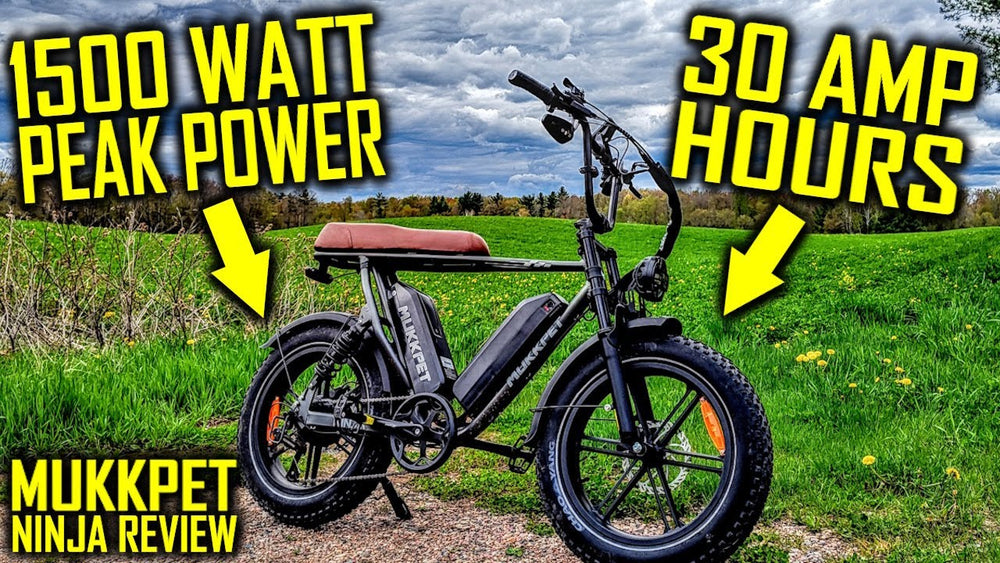 1500W Peak Motor Ebike